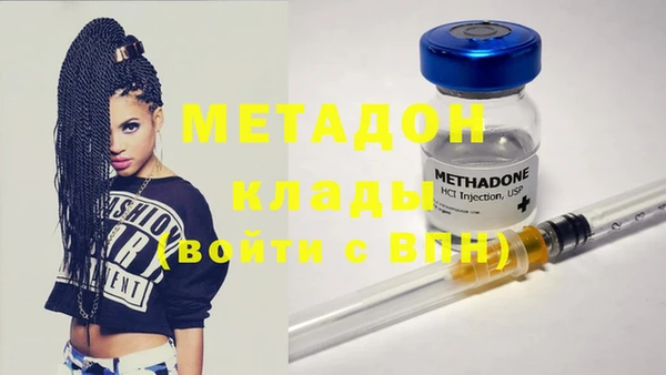 индика Белокуриха