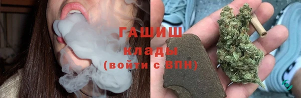 индика Белокуриха