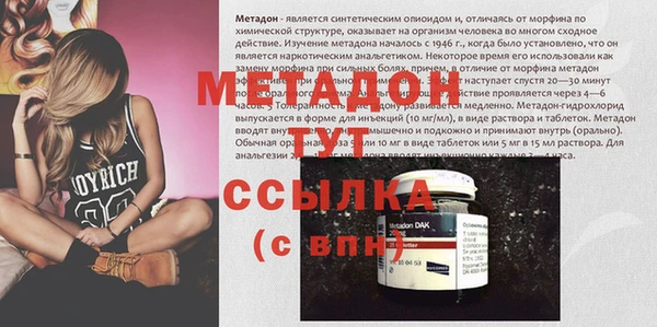 индика Белокуриха