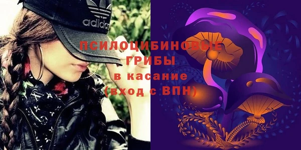 индика Белокуриха