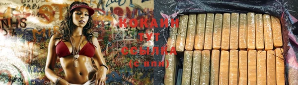 прущие грибы Бугульма