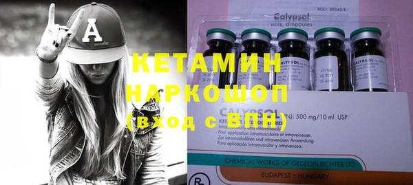 индика Белокуриха