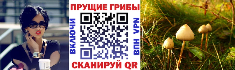 Галлюциногенные грибы MAGIC MUSHROOMS  мега tor  Верхняя Тура  где продают наркотики 